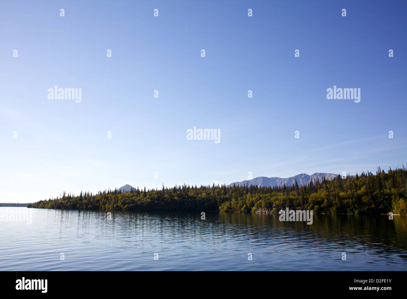 Forests and mountains on Lake Iliamna in Alaska Stock Photo