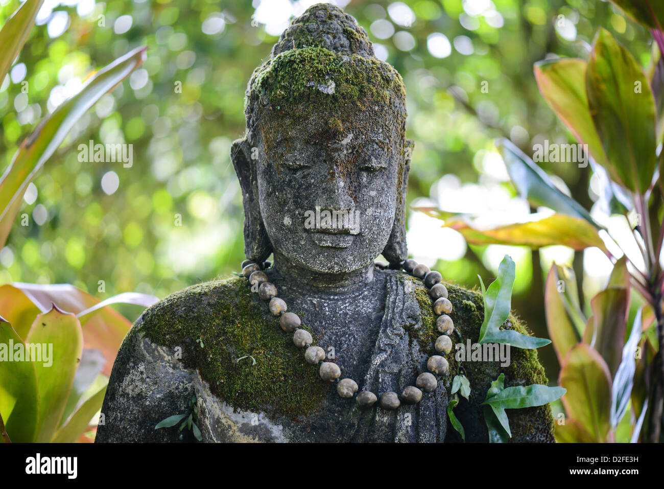Stone Buddha in Jungle Stock Photo Alamy