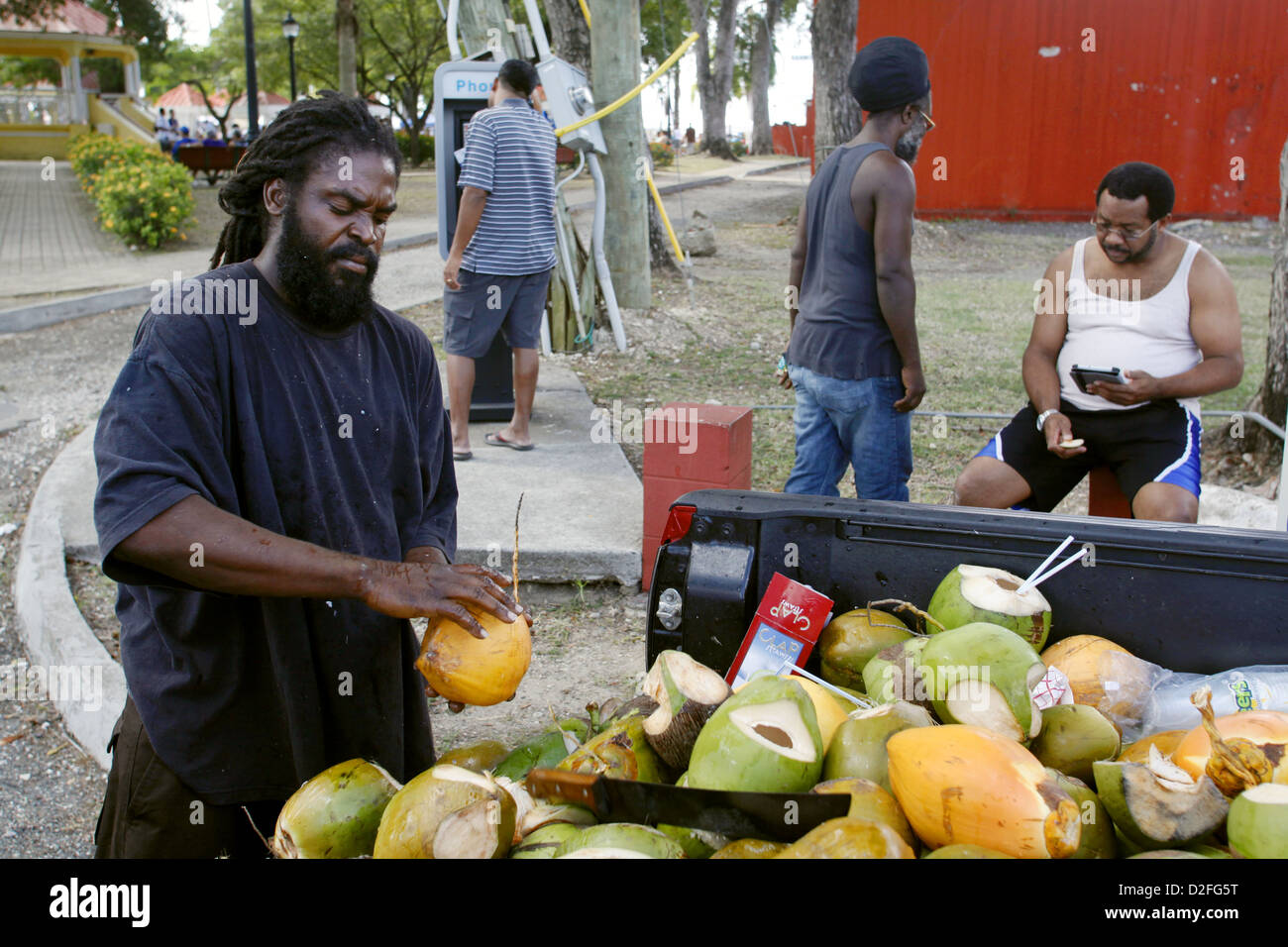 Selling Coconut Drinks from the back of his Truck, Frederiksted, St