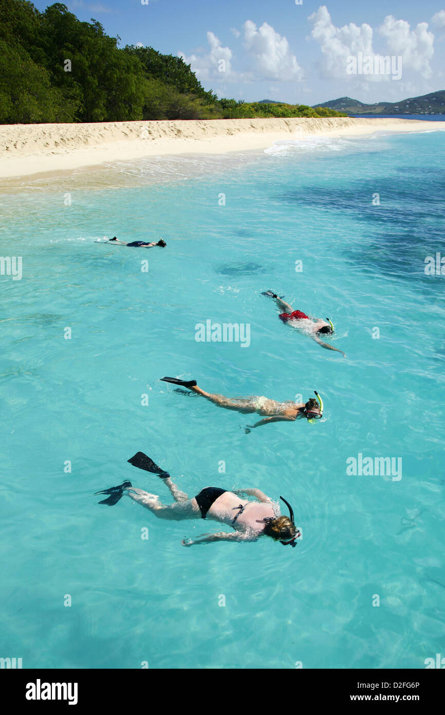 Snorkeling, Buck Island, US Virgin Islands, Caribbean Stock Photo Alamy