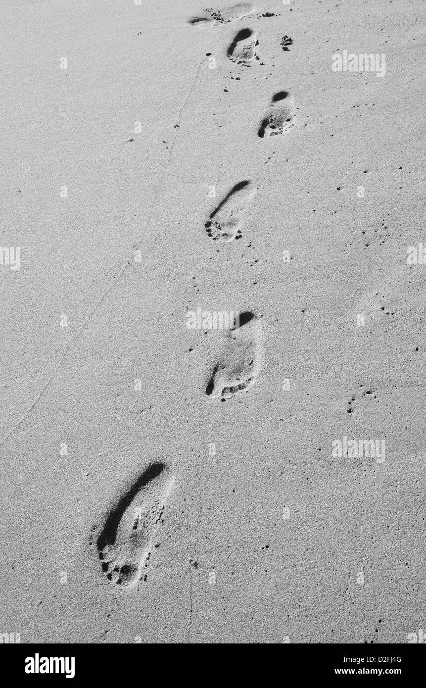 Human footprints on the wet sand. Stock Photo