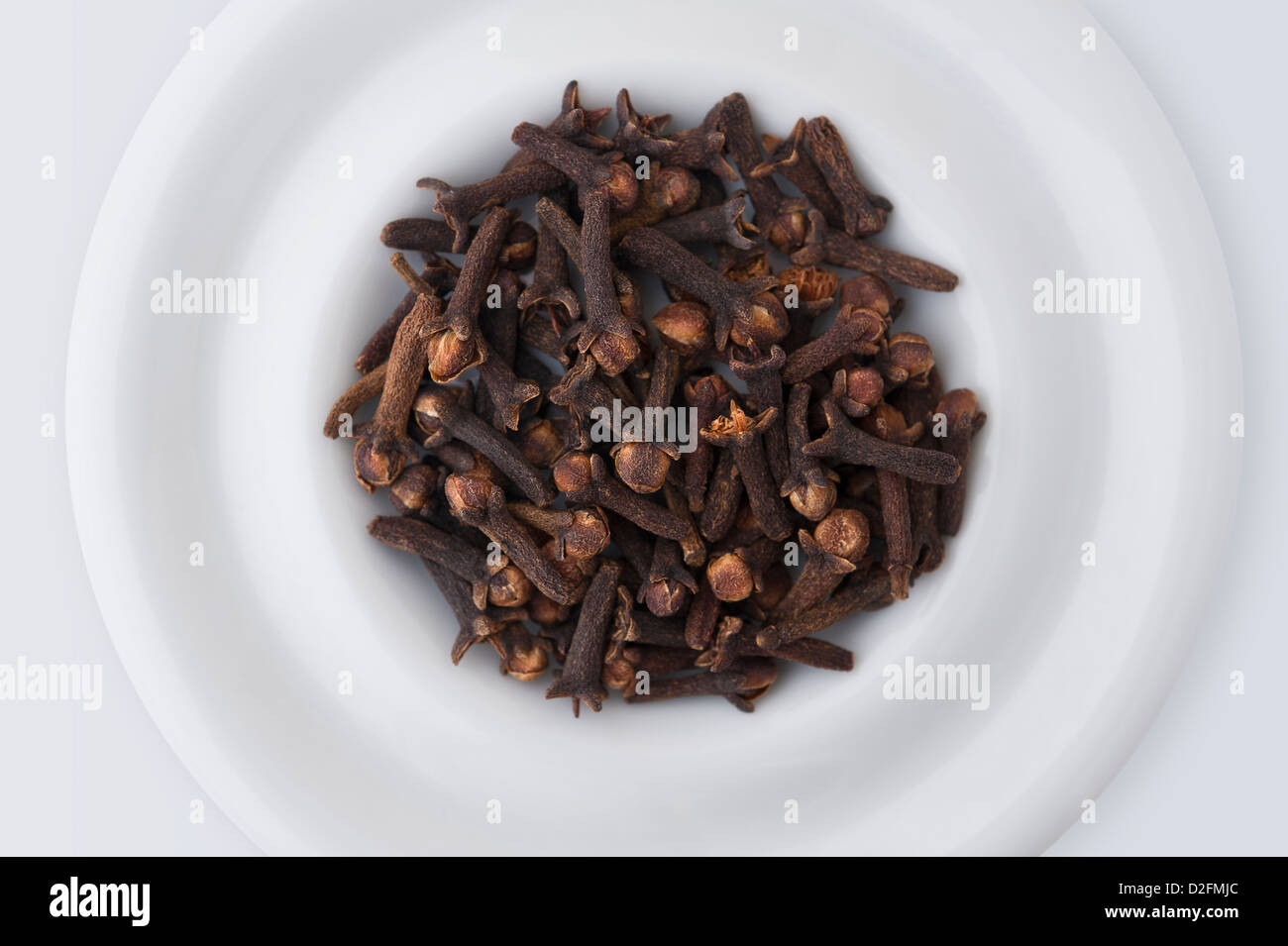 Cloves on a white plate against a white background Stock Photo
