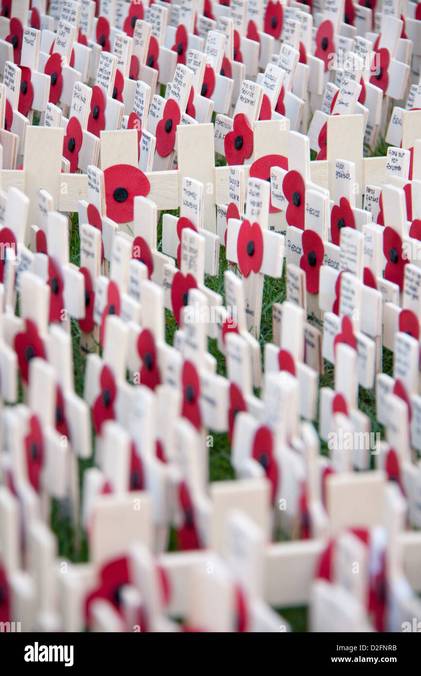 Field of Remembrance Day poppies at Westminster Abbey, London Stock Photo