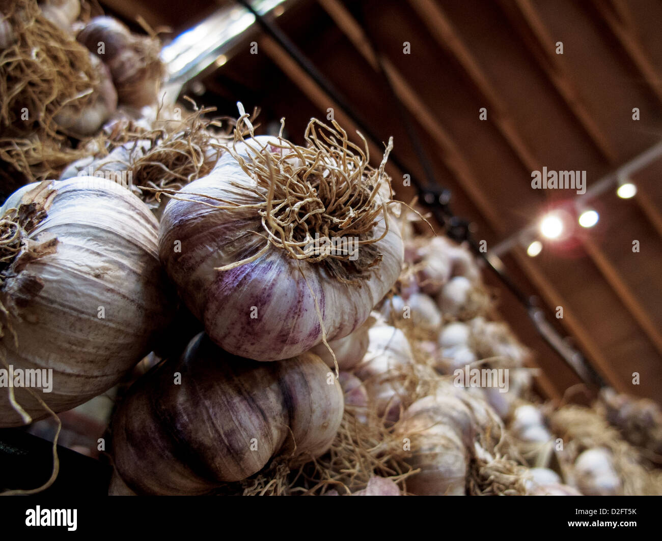 The Garlic farm on the isle of wight. Elephant garlic in the shop Stock