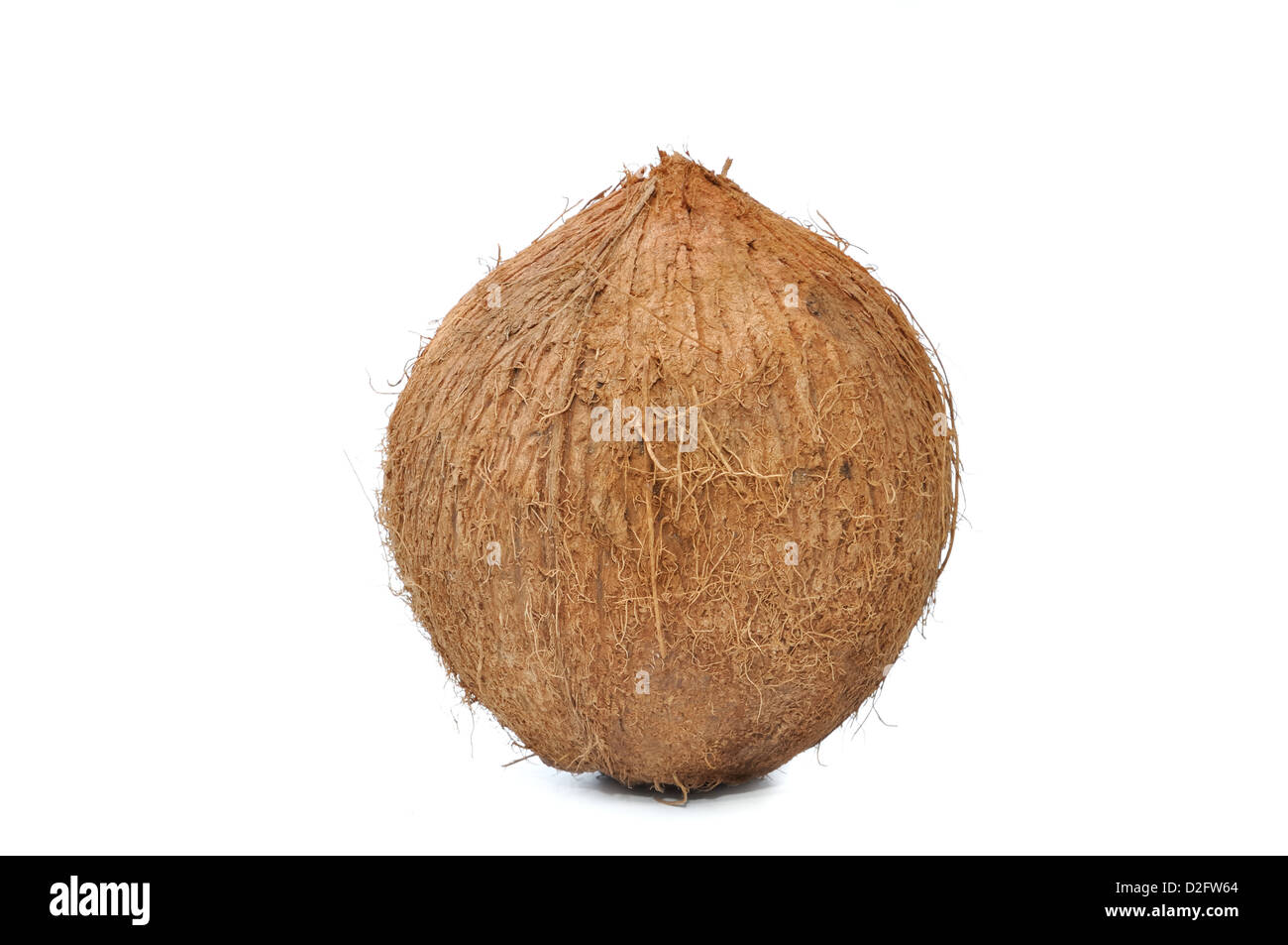whole coconuts isolated on white background Stock Photo Alamy