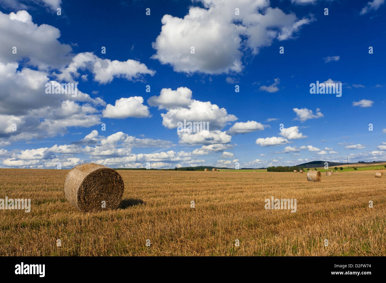 Field after harvest and blue sky with white clouds Stock Photo - Alamy