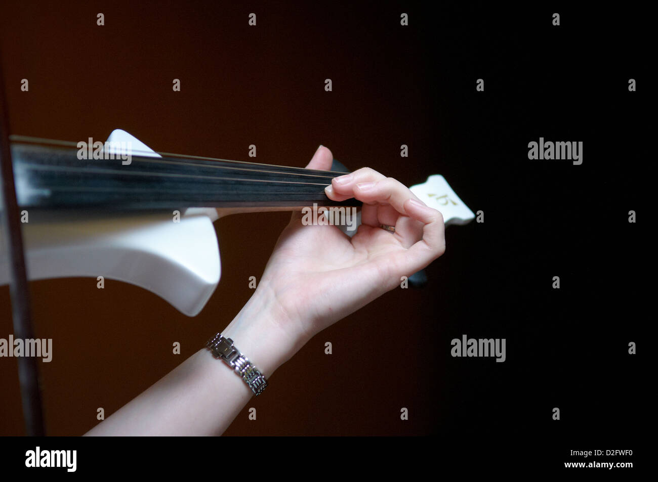 A violin player at a wedding plays an electric violin Stock Photo Alamy