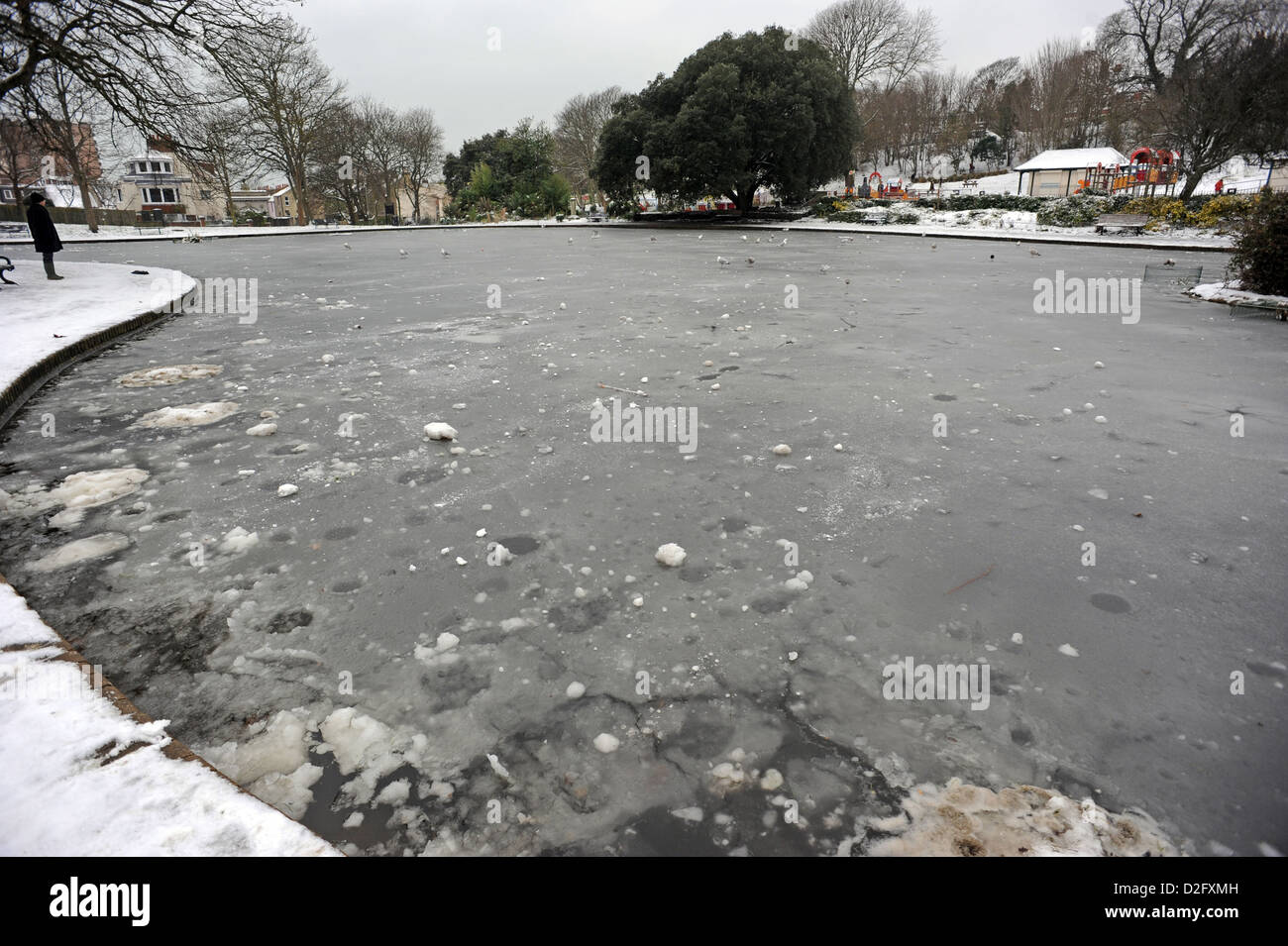 Brighton's Queen's park pond frozen over Stock Photo