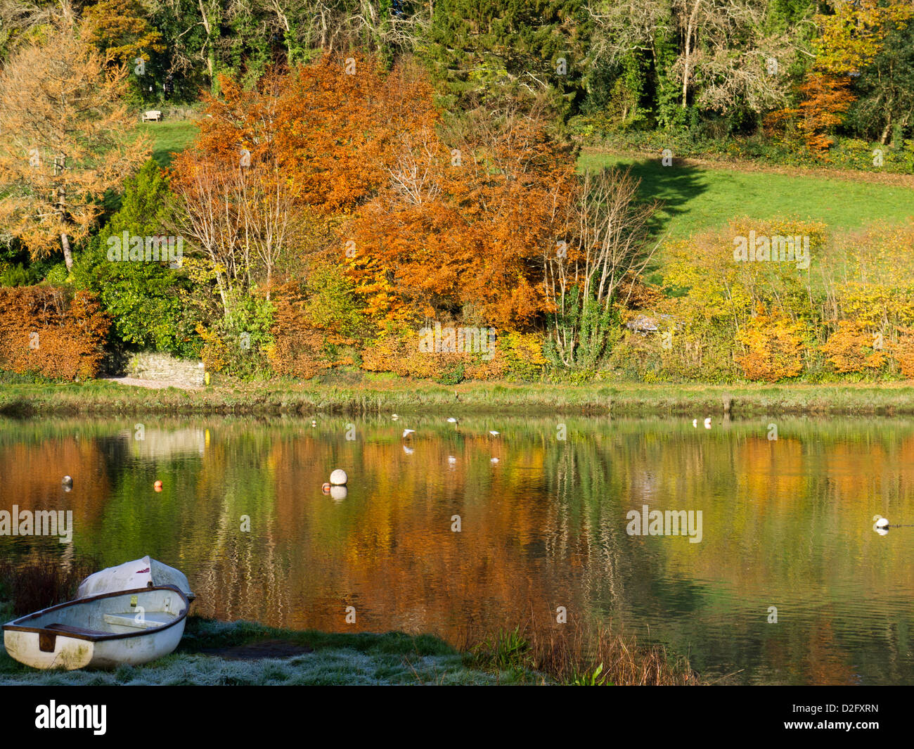 By the river at Lerryn in Cornwall, on a frosty autumn morning. Stock Photo