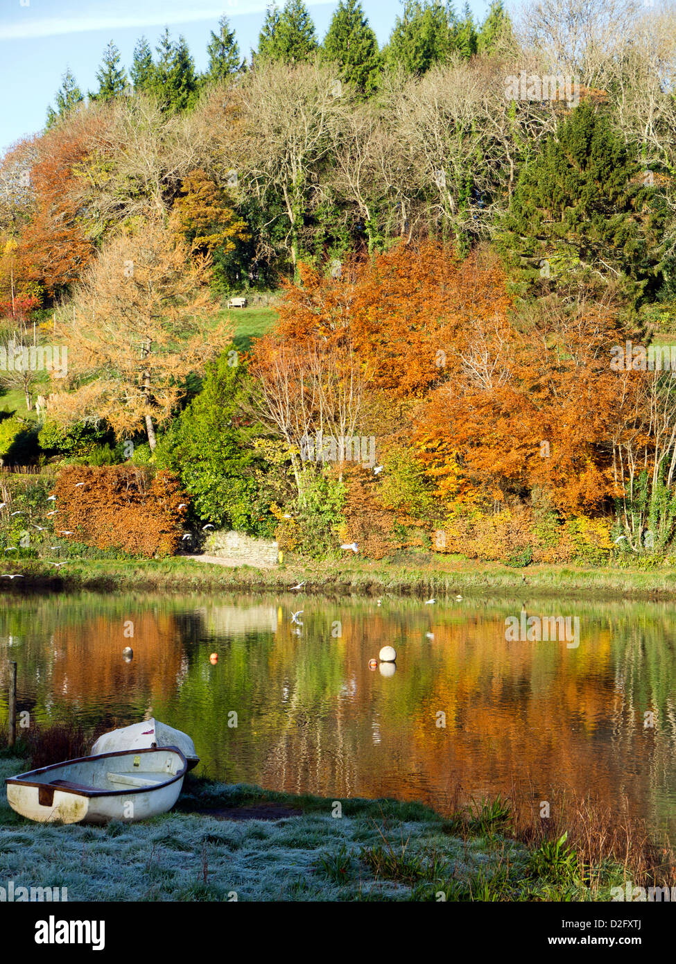 A frosty autumn morning by the river at Lerryn in Cornwall Stock Photo