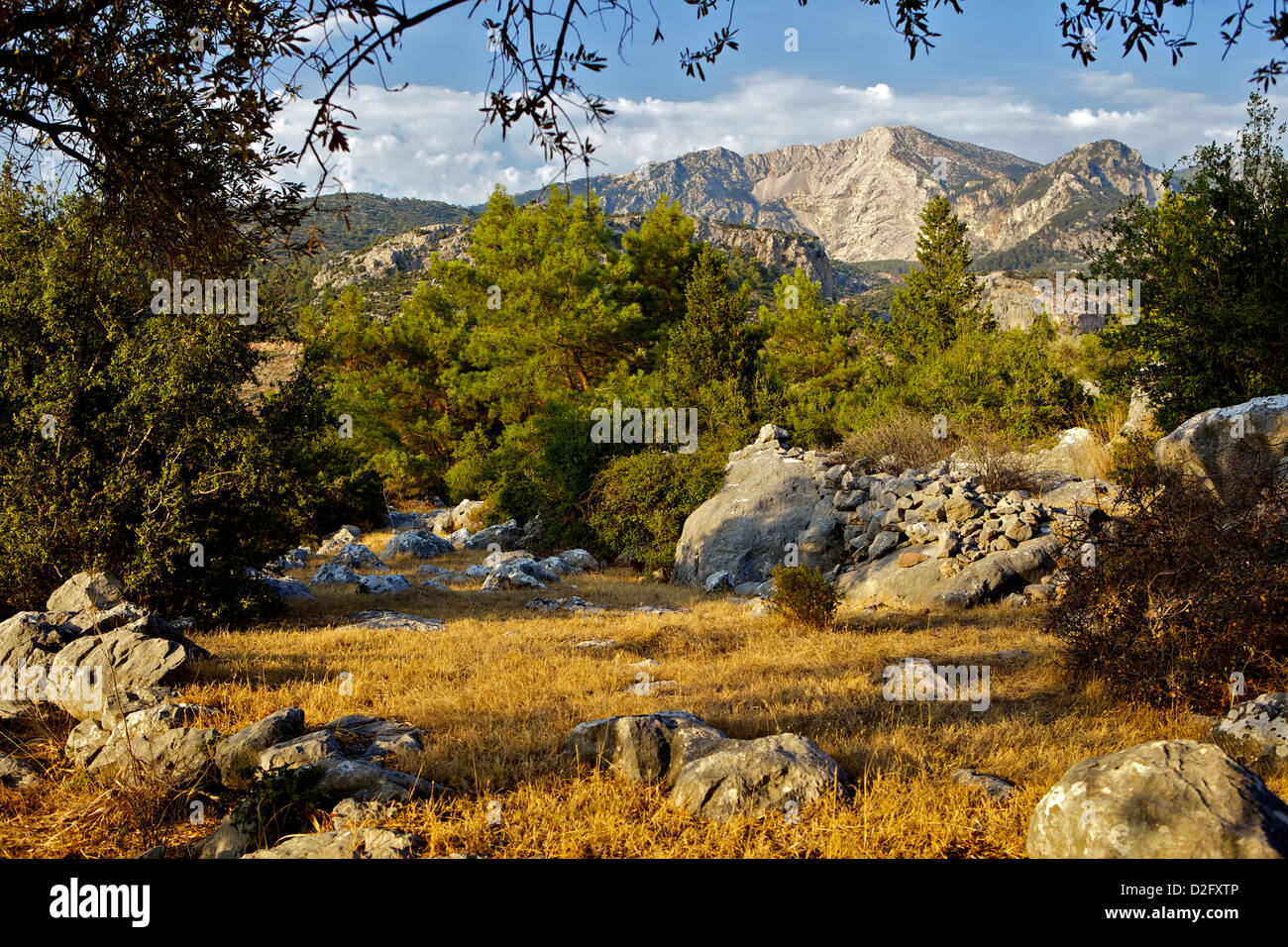 Lycian Way, near Fethiye, Oludeniz, Mediterranean, turkey, Stock Photo