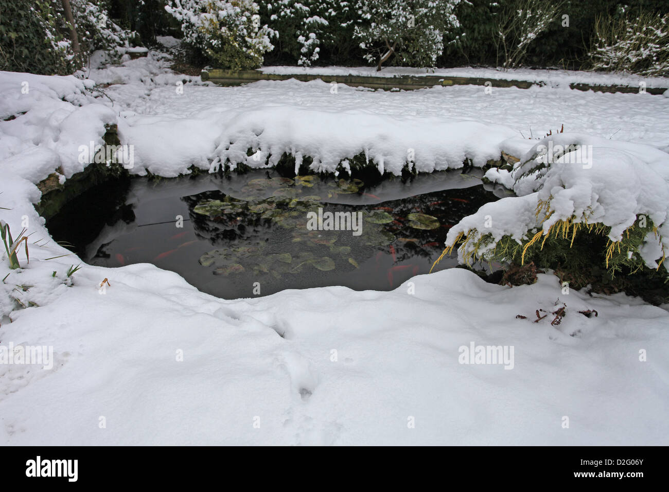 Garden pond winter hires stock photography and images Alamy