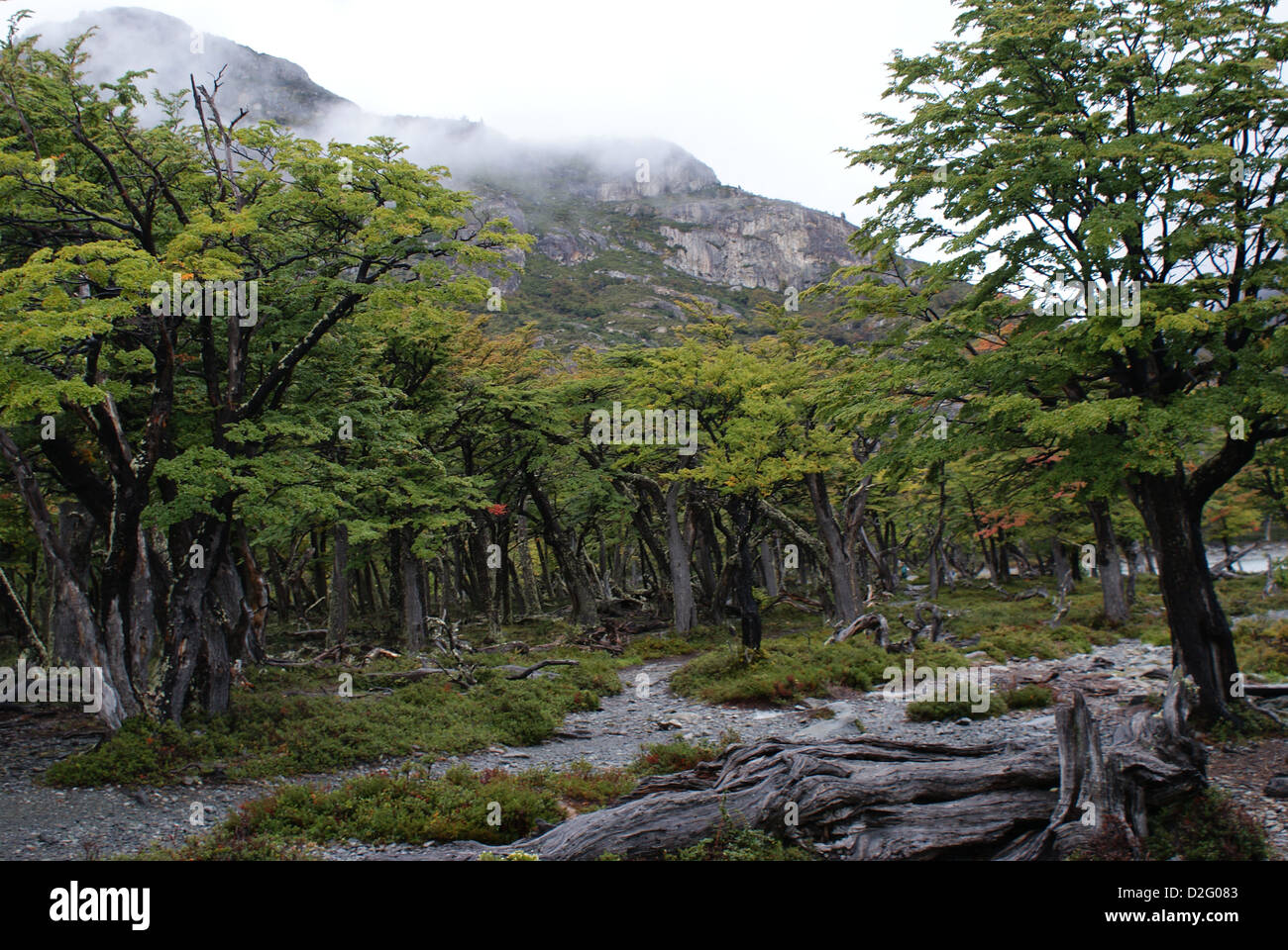 Patagonia Argentina Stock Photo