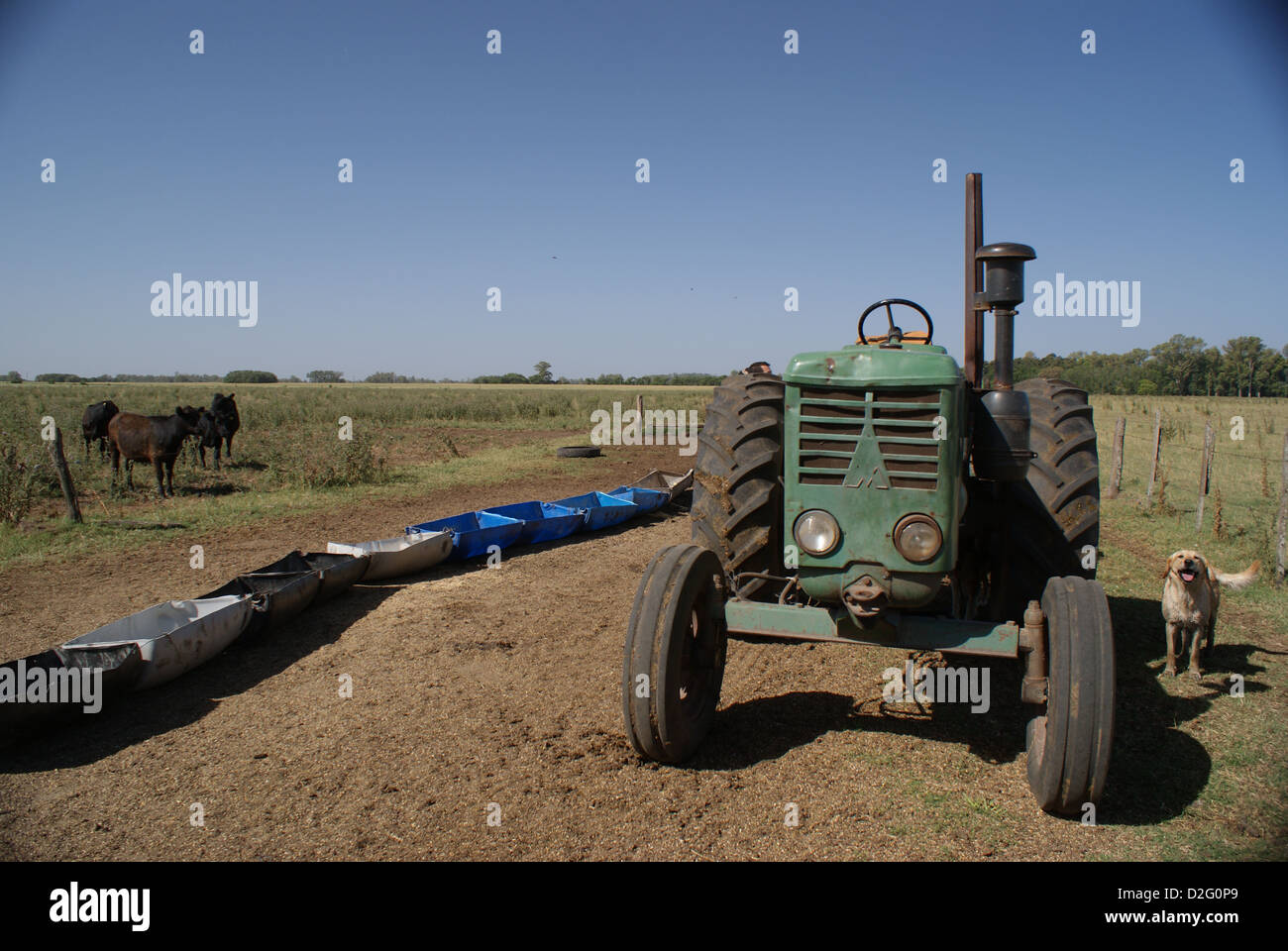 Argentine Countryside Stock Photo