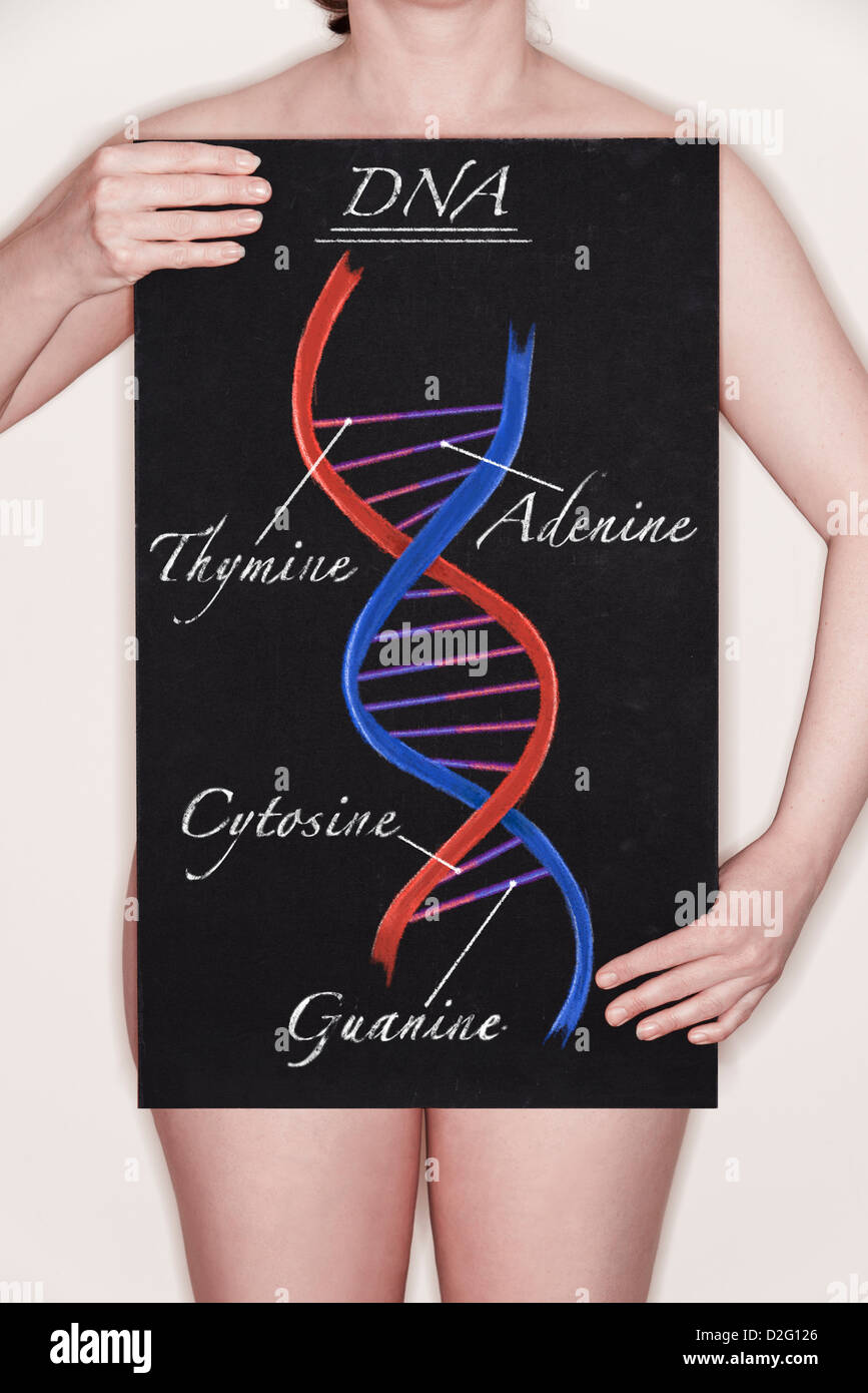 Woman holding a blackboard with a diagram / illustration of a DNA Double Helix strand drawn on it in chalk Stock Photo
