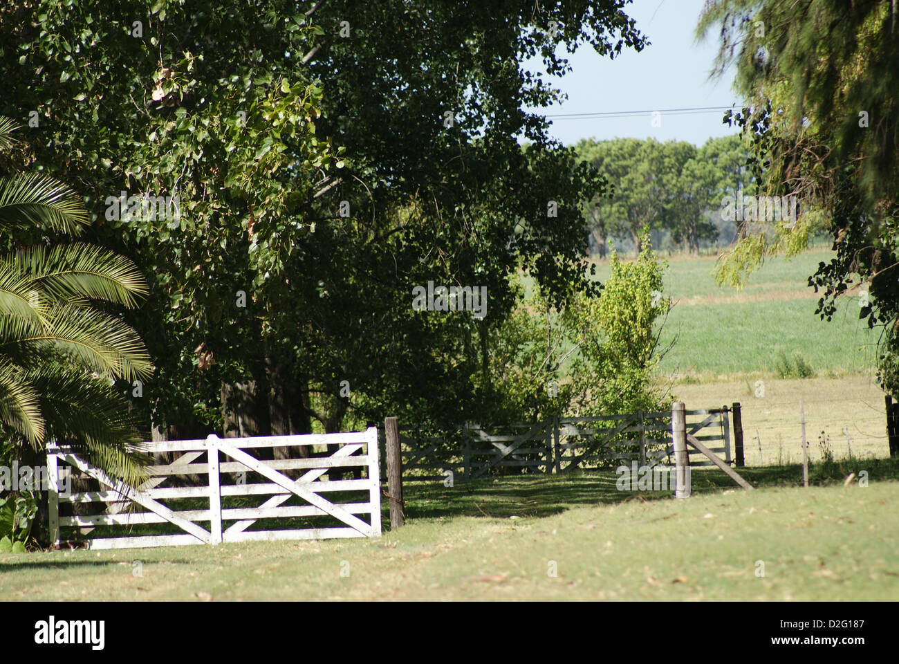 Argentine Countryside Stock Photo