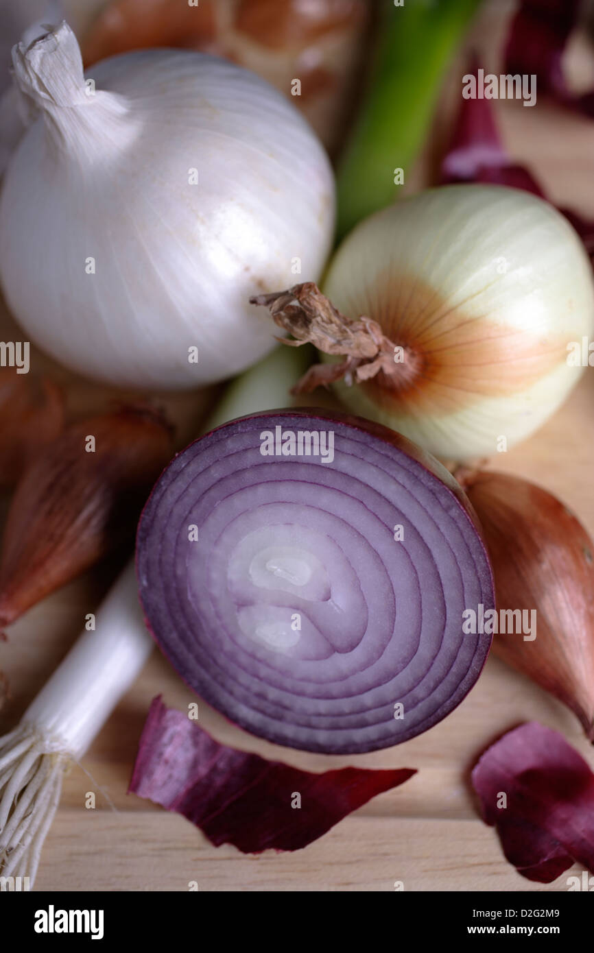 onion varieties Stock Photo