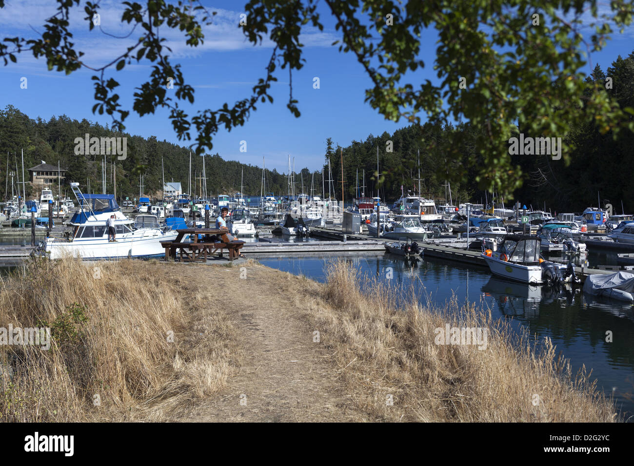 Views of marina and docks at Pedder Bay Marina near Metchosin Vancouver