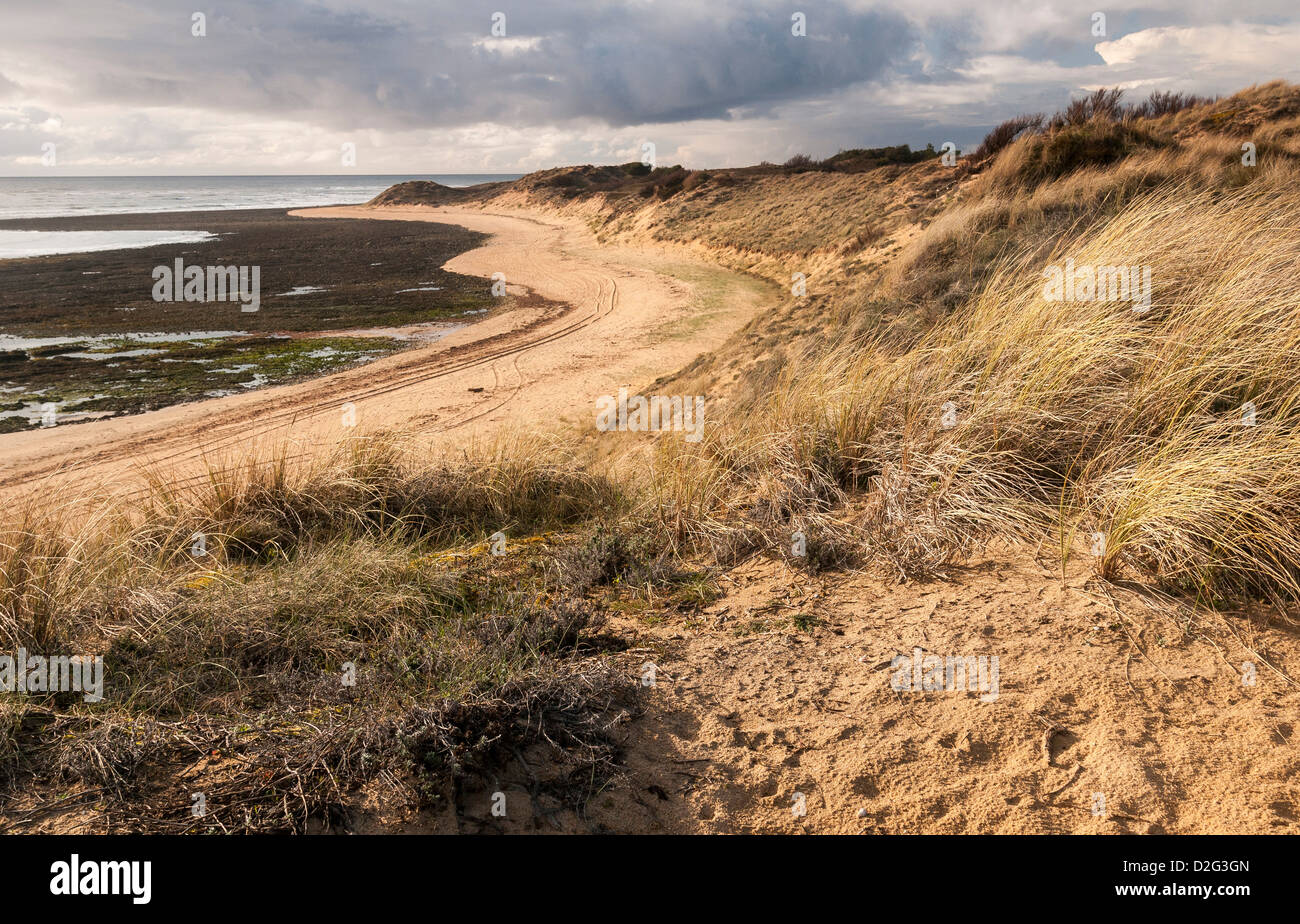 Atlantic coast sand dune at low tide Stock Photo Alamy