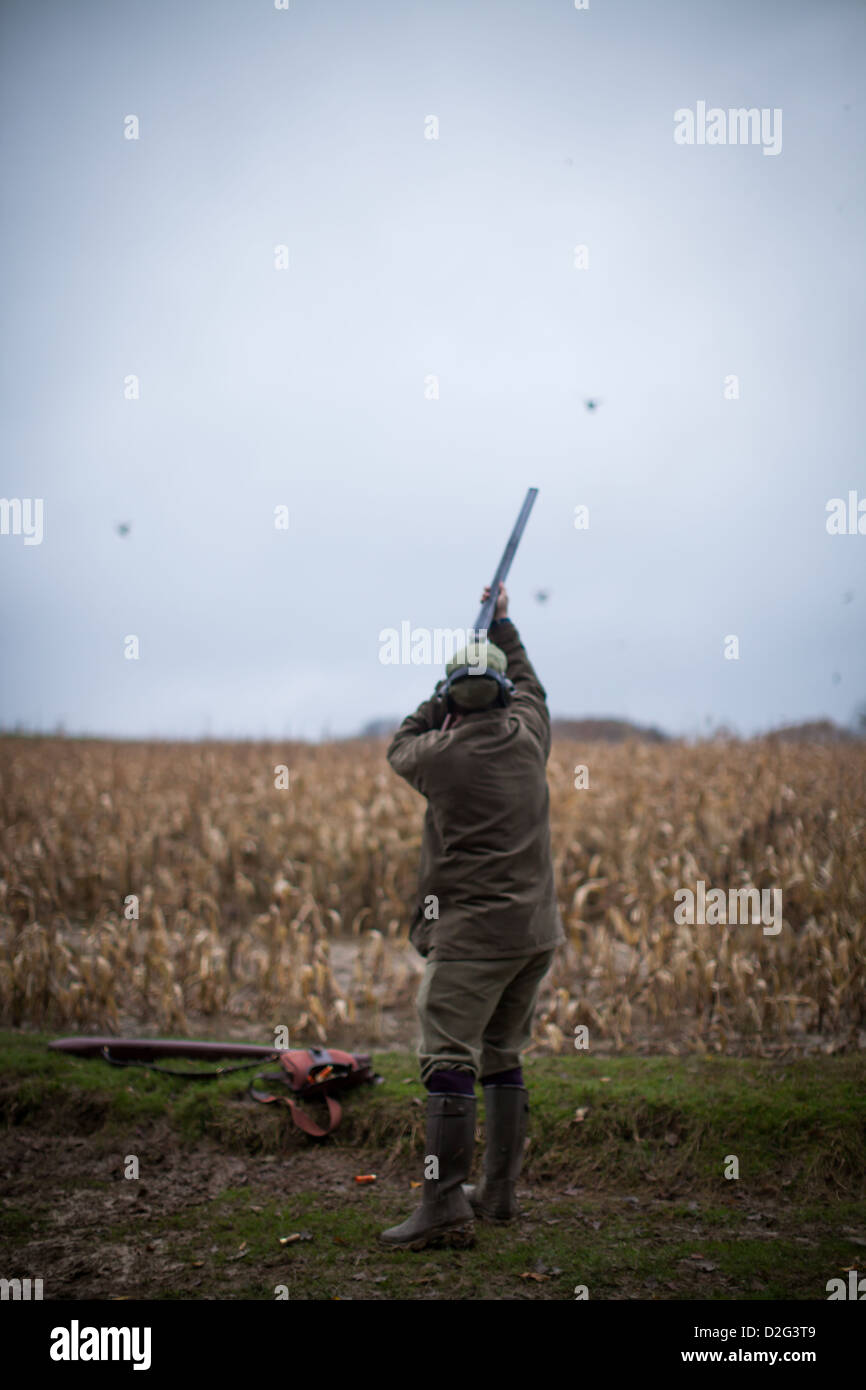 Photo of a male gun shooting at flying pheasants on a shoot in Sussex, UK Stock Photo
