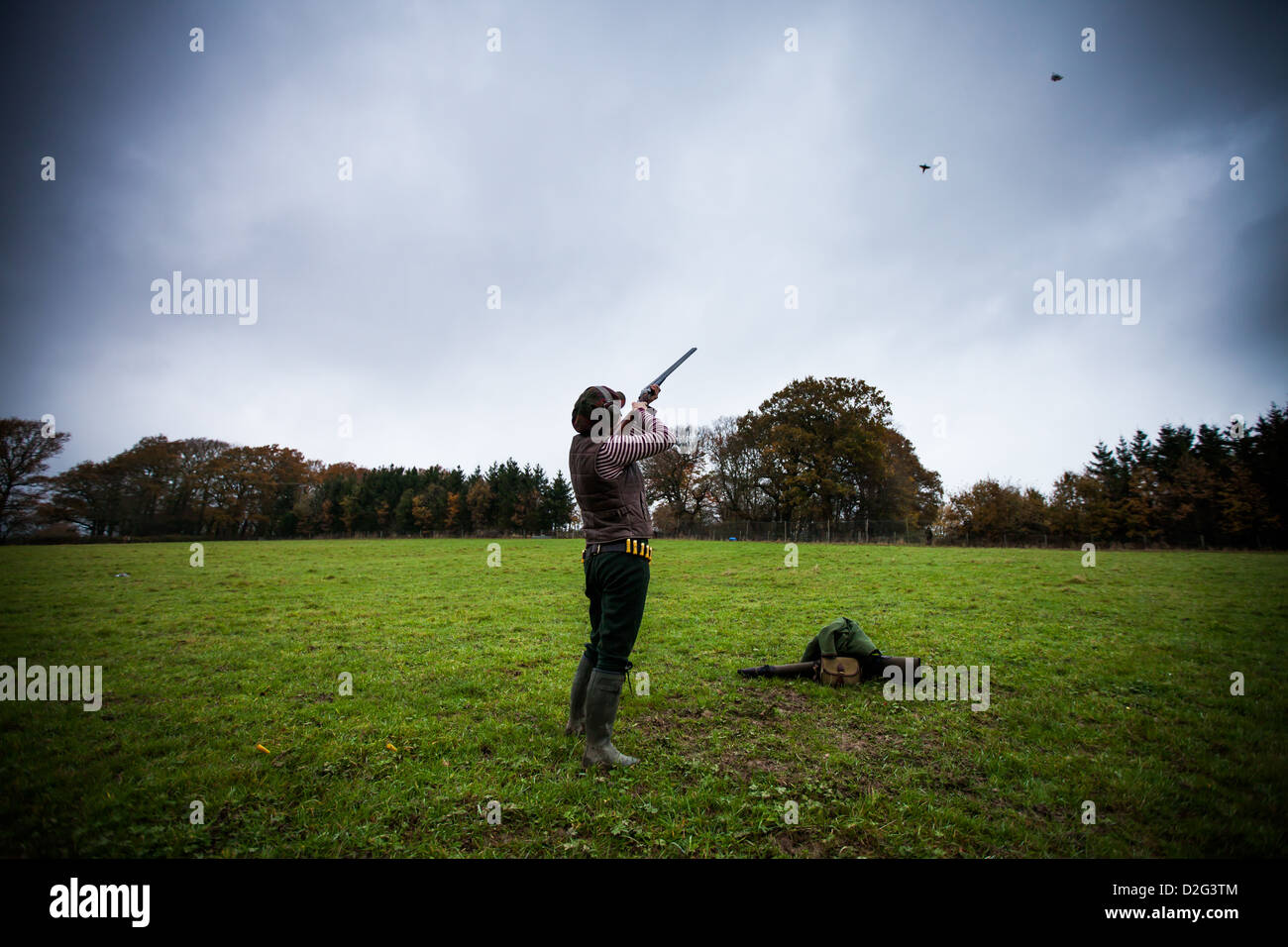 Photo of a male gun shooting at flying pheasants on a game shoot in the