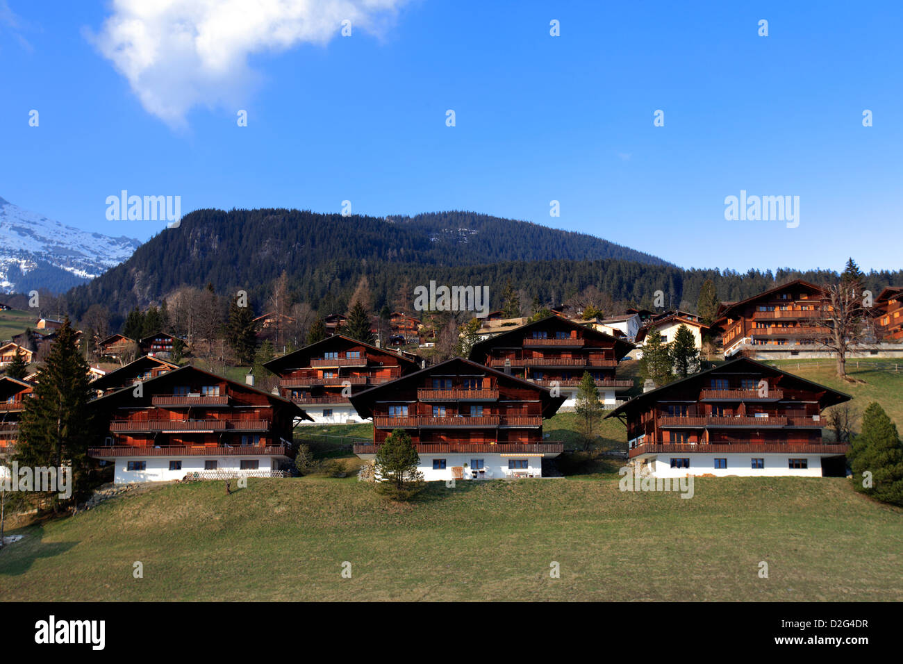 Swiss Chalet homes, ski resort of Grindelwald, Swiss Alps, Jungfrau