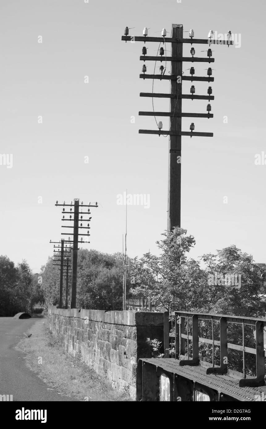 Railway telegraph poles hires stock photography and images Alamy