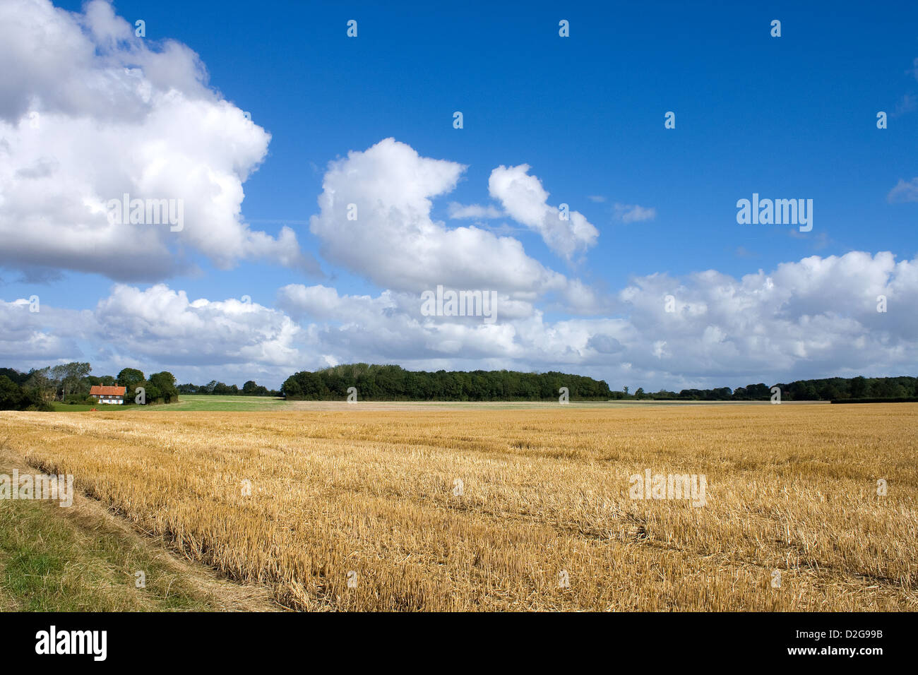 Suffolk Countryside in Summertime Stock Photo