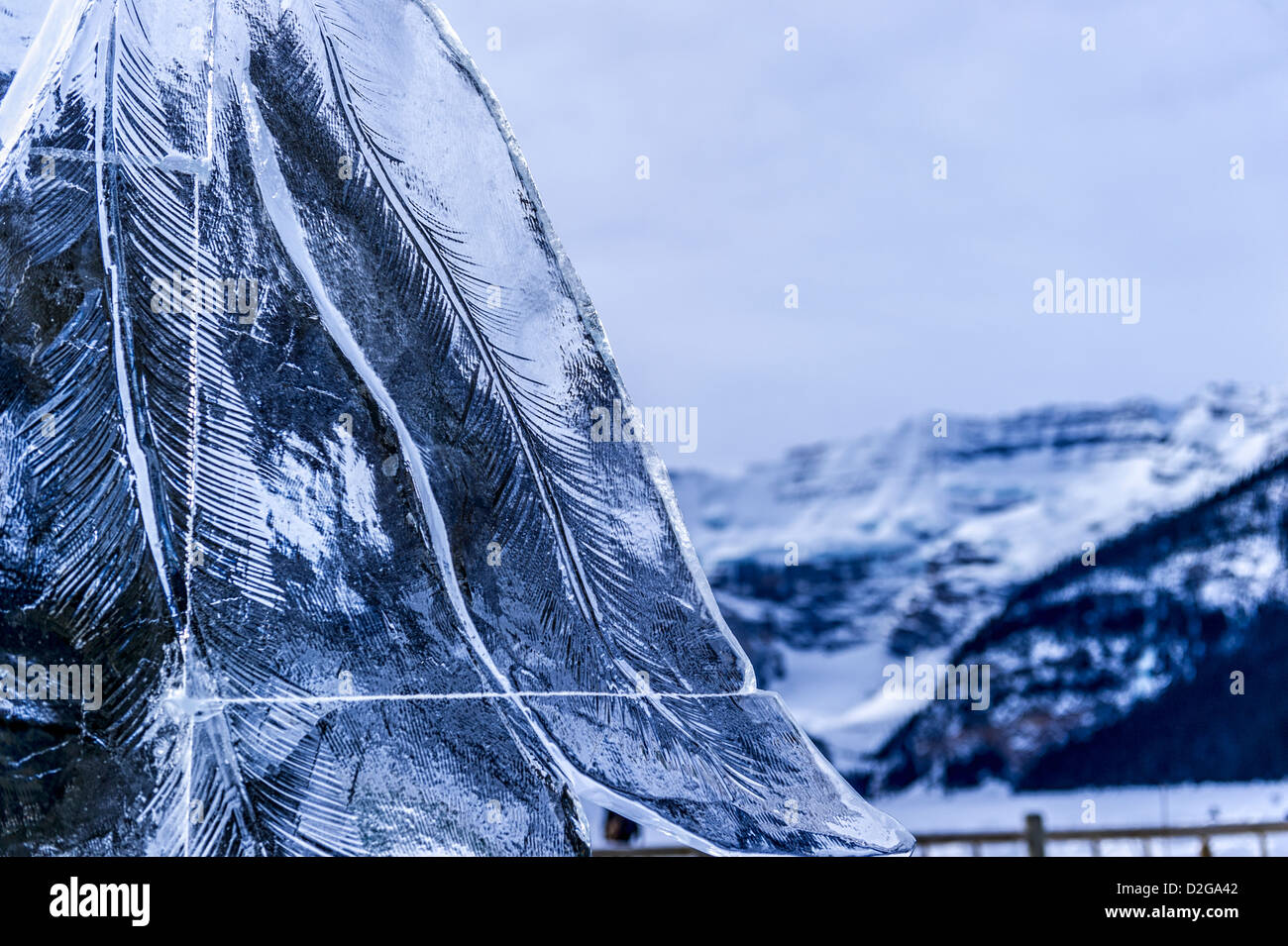The Lake Louise Ice Magic Festival is the centerpiece of Banff National ...