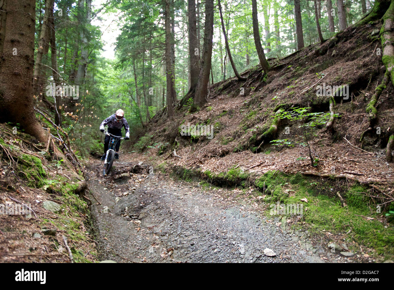 thetford forest mtb