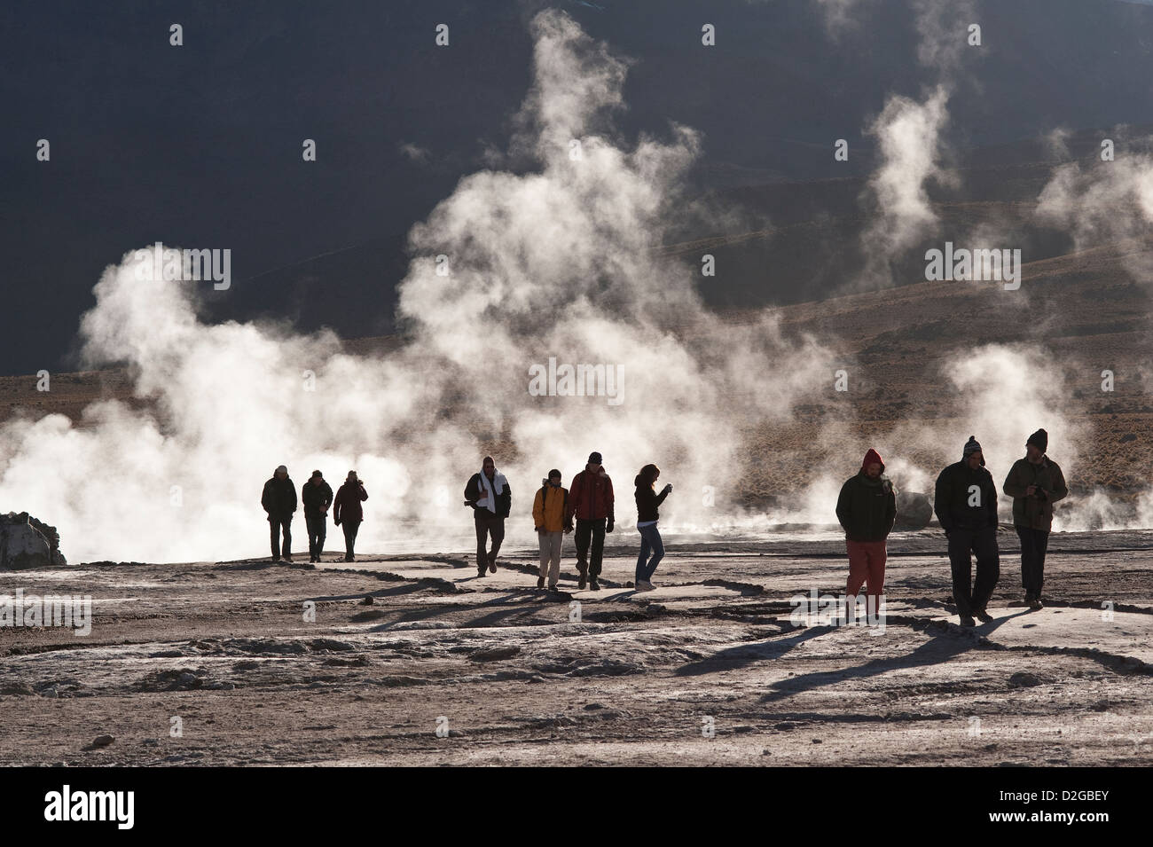 Geysers del Tatio San Pedro de Atacama Steam rising in early hours of the morning Chile South America Stock Photo