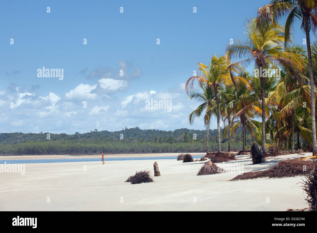 South America, Brazil. Una Beach in Bahia state Stock Photo