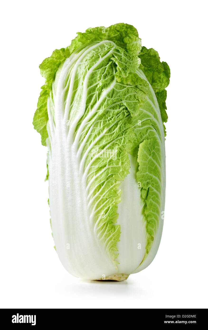 Fresh chinese cabbage on white background, studio shot Stock Photo