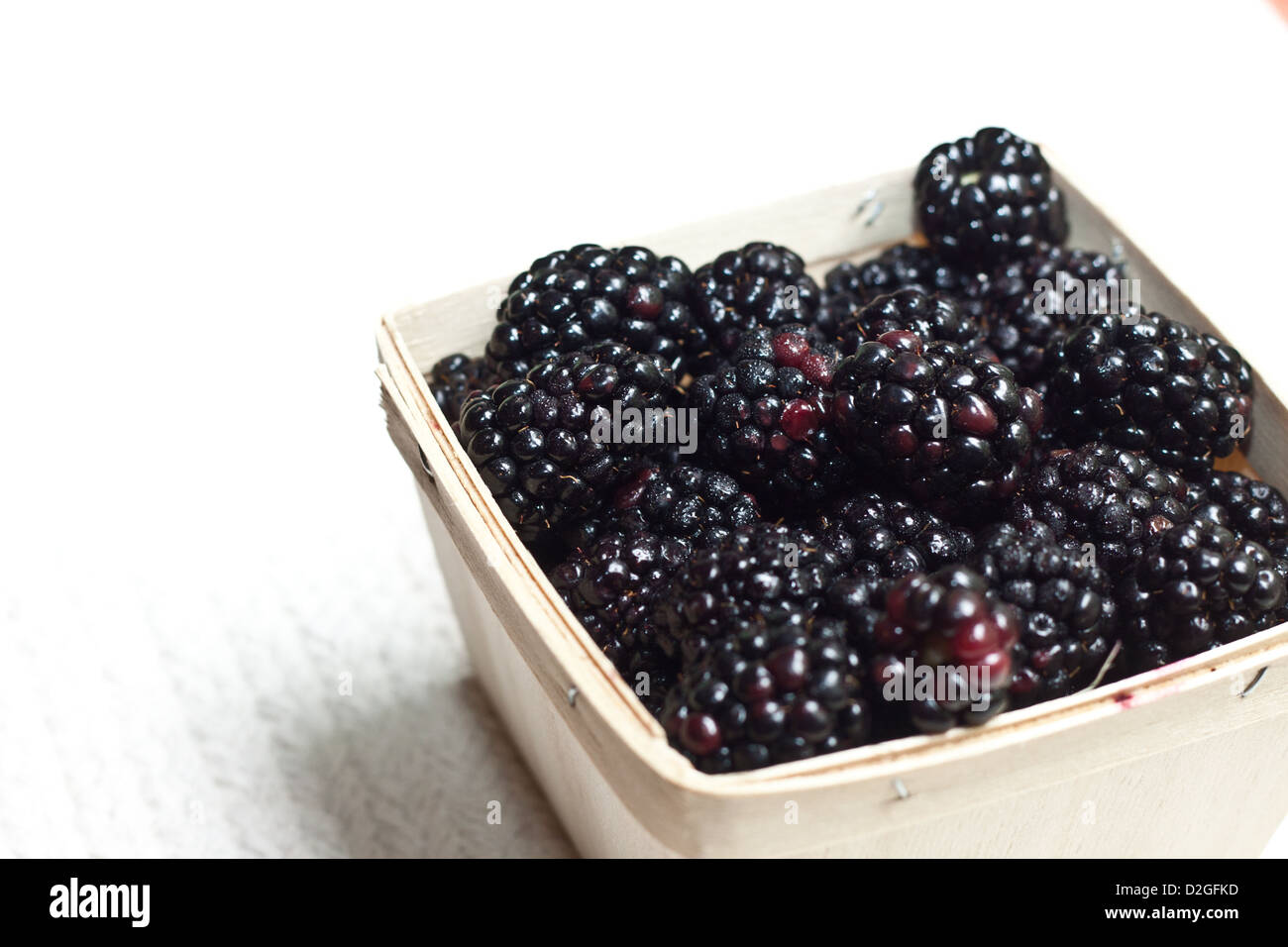 Ohio Blackberries, Westerville, Ohio. Stock Photo