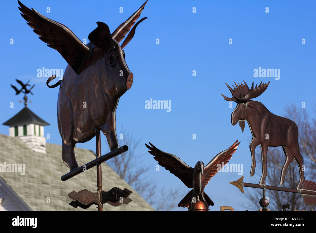 An assortment of weather vanes in Maine USA bird moose pig Stock Photo