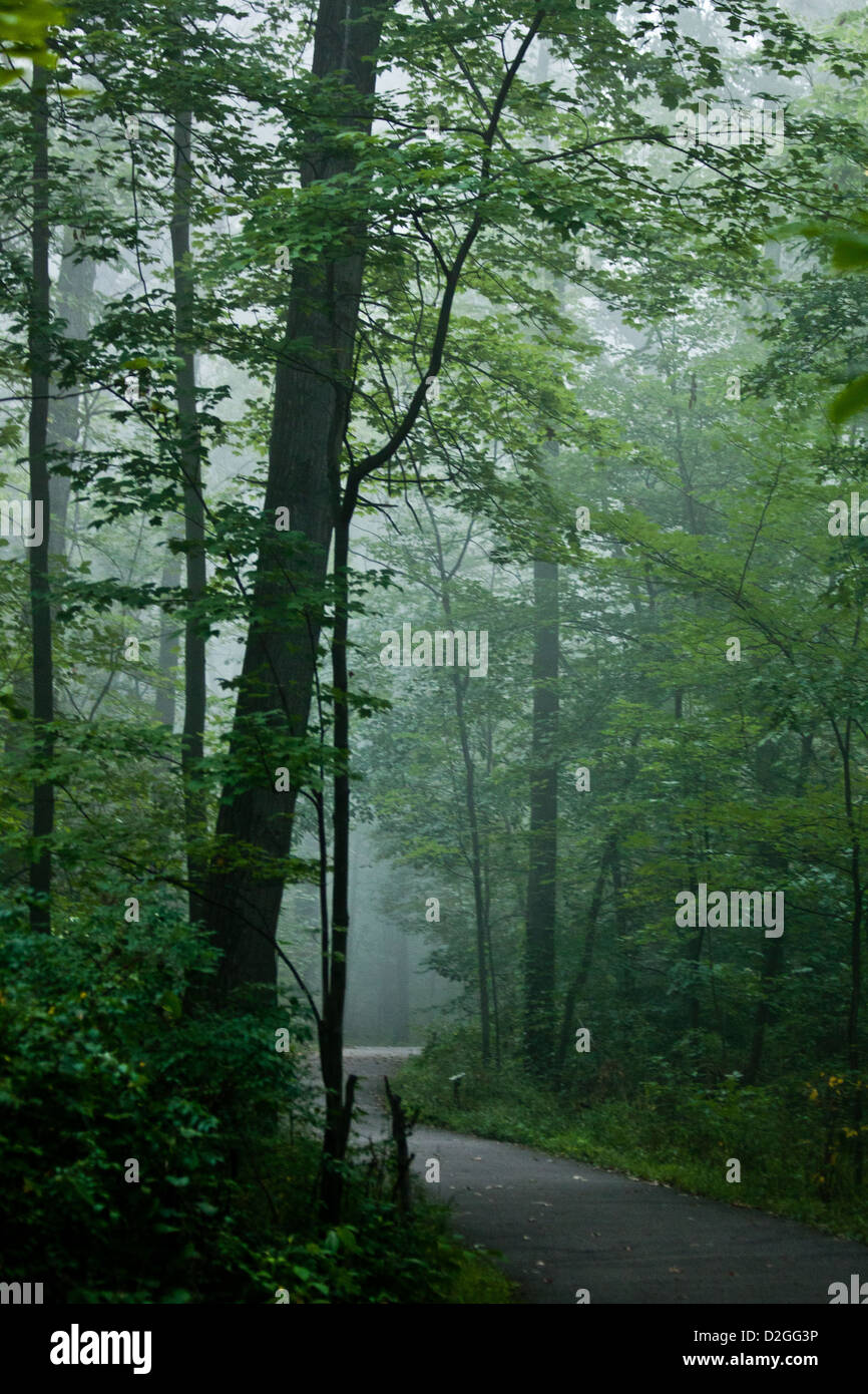 Blendon Woods Metro Park, Westerville, Ohio Stock Photo Alamy