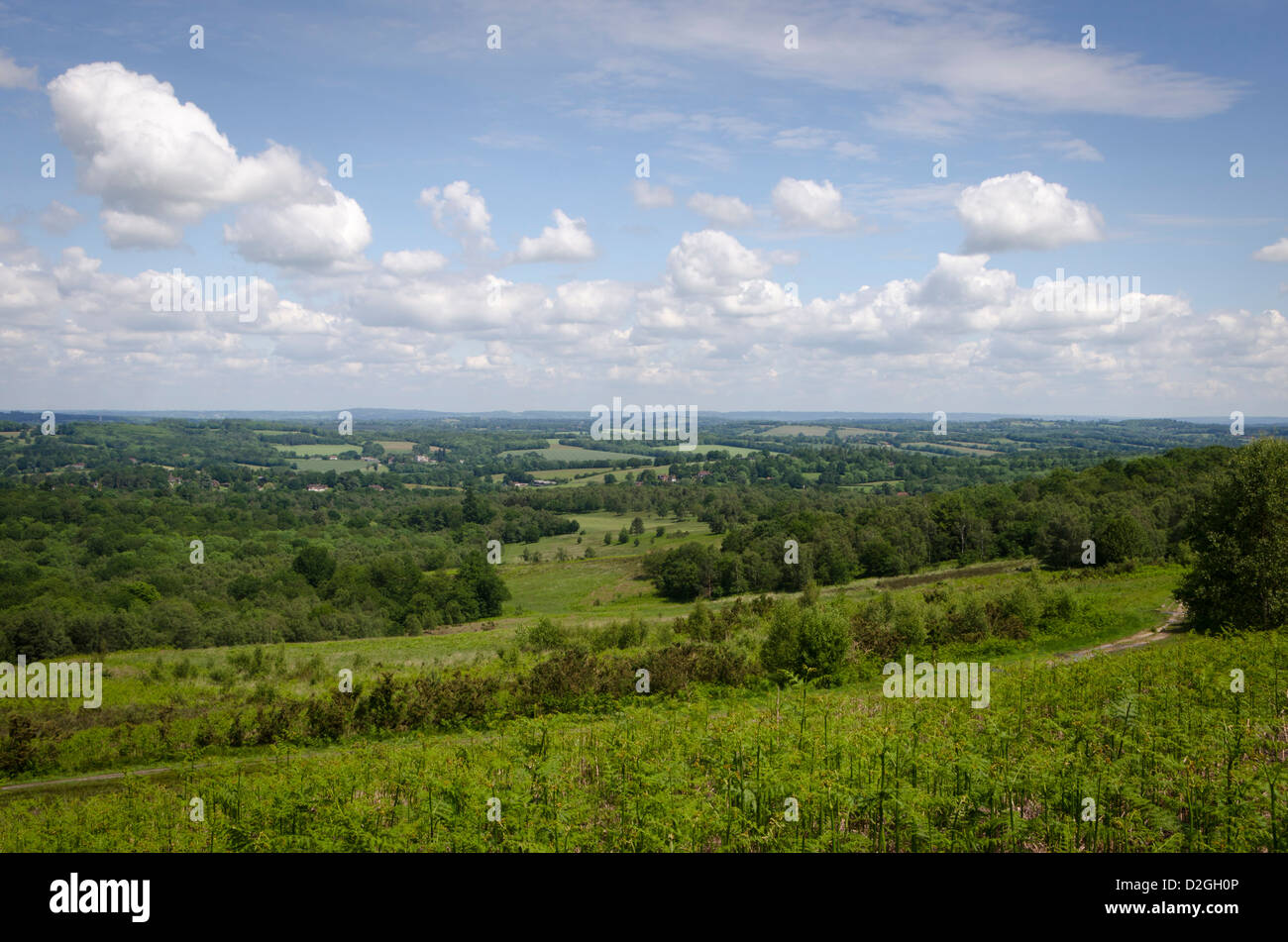 Wych cross hires stock photography and images Alamy