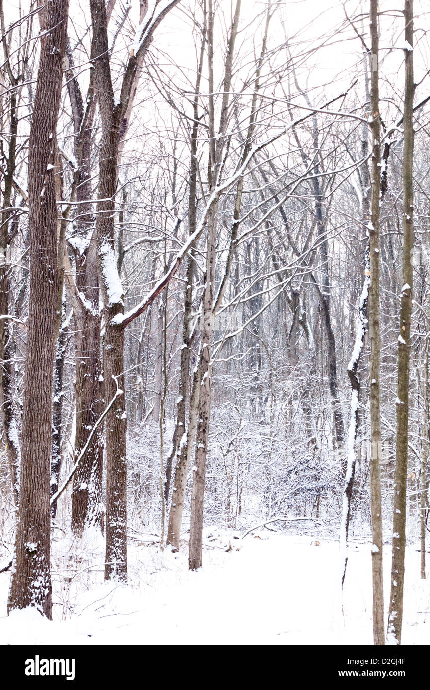 Sharon Woods Metro Park, Westerville, Ohio Stock Photo Alamy