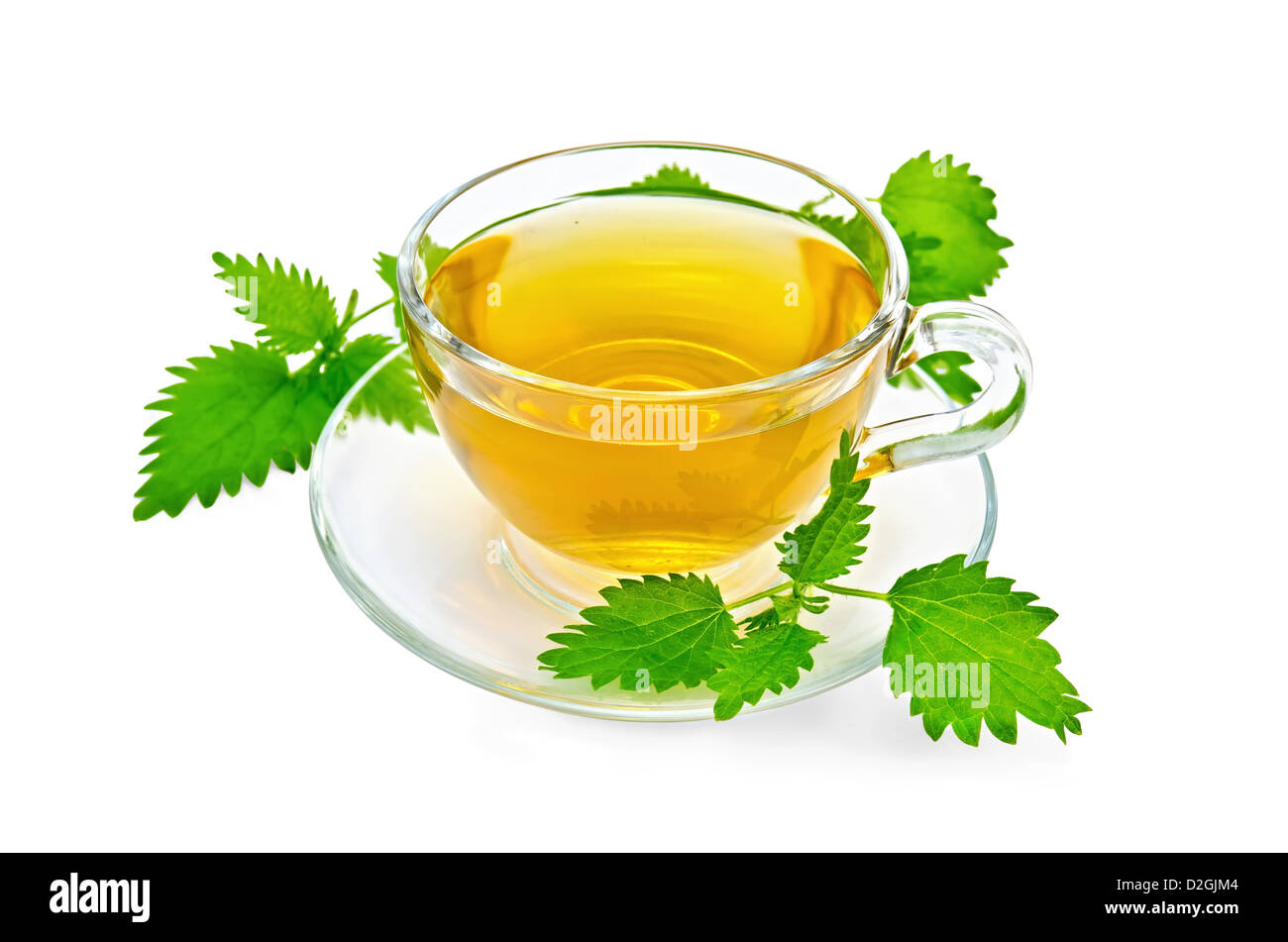 Herbal tea in a glass cup and saucer, three twig nettle isolated on a white background Stock Photo