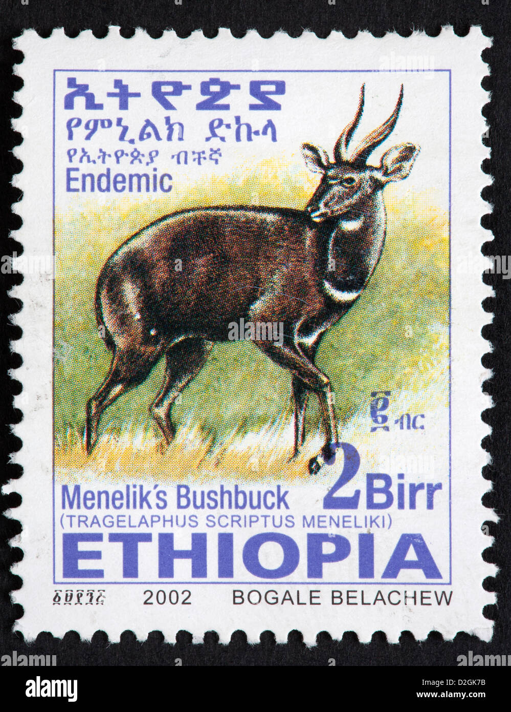 Ethiopian postage stamp Stock Photo Alamy