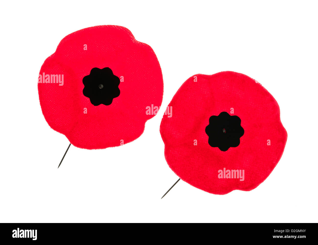 Remembrance day poppy black and white hi-res stock photography and ...