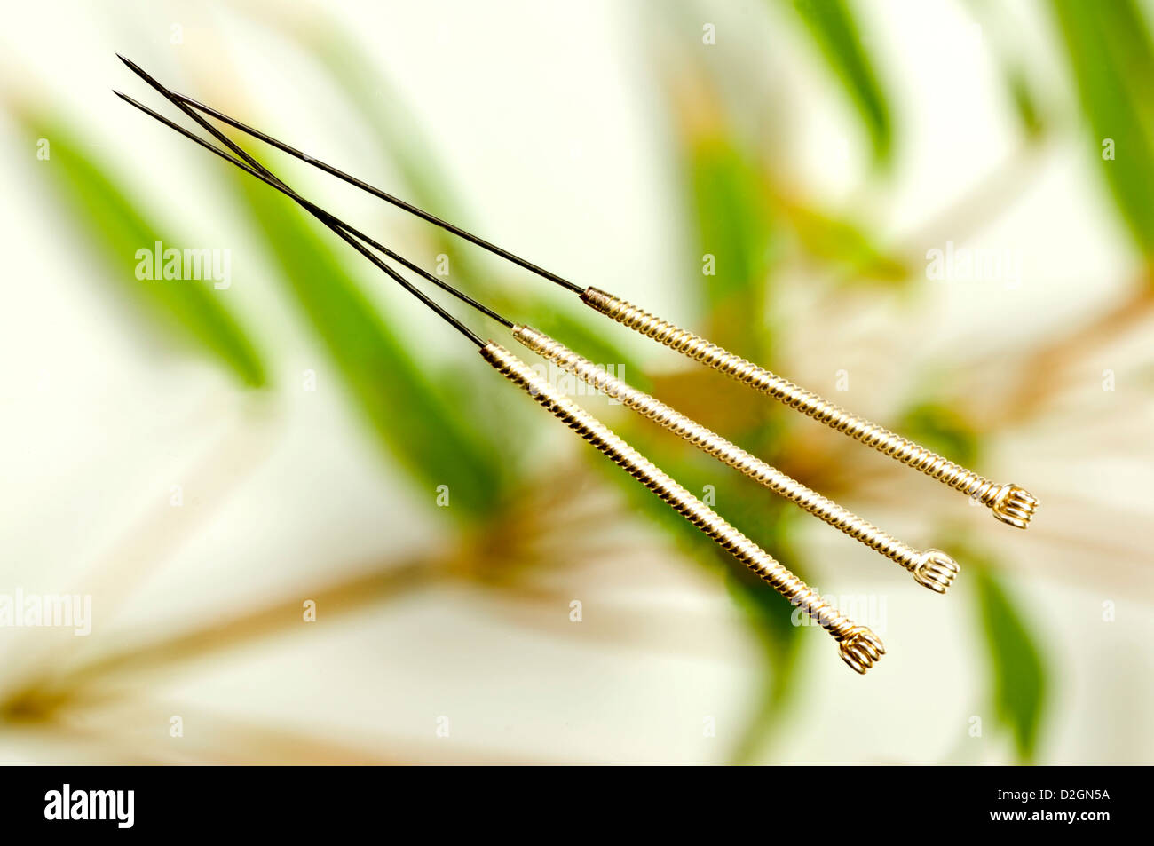 acupuncture needle Stock Photo Alamy