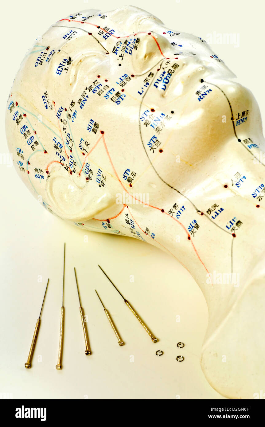 Acupuncture needles with head model Stock Photo Alamy