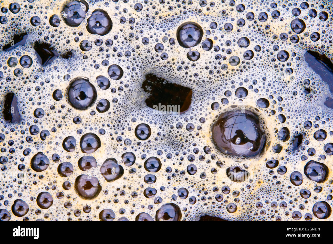 Bubbles of dung in a creek Stock Photo Alamy