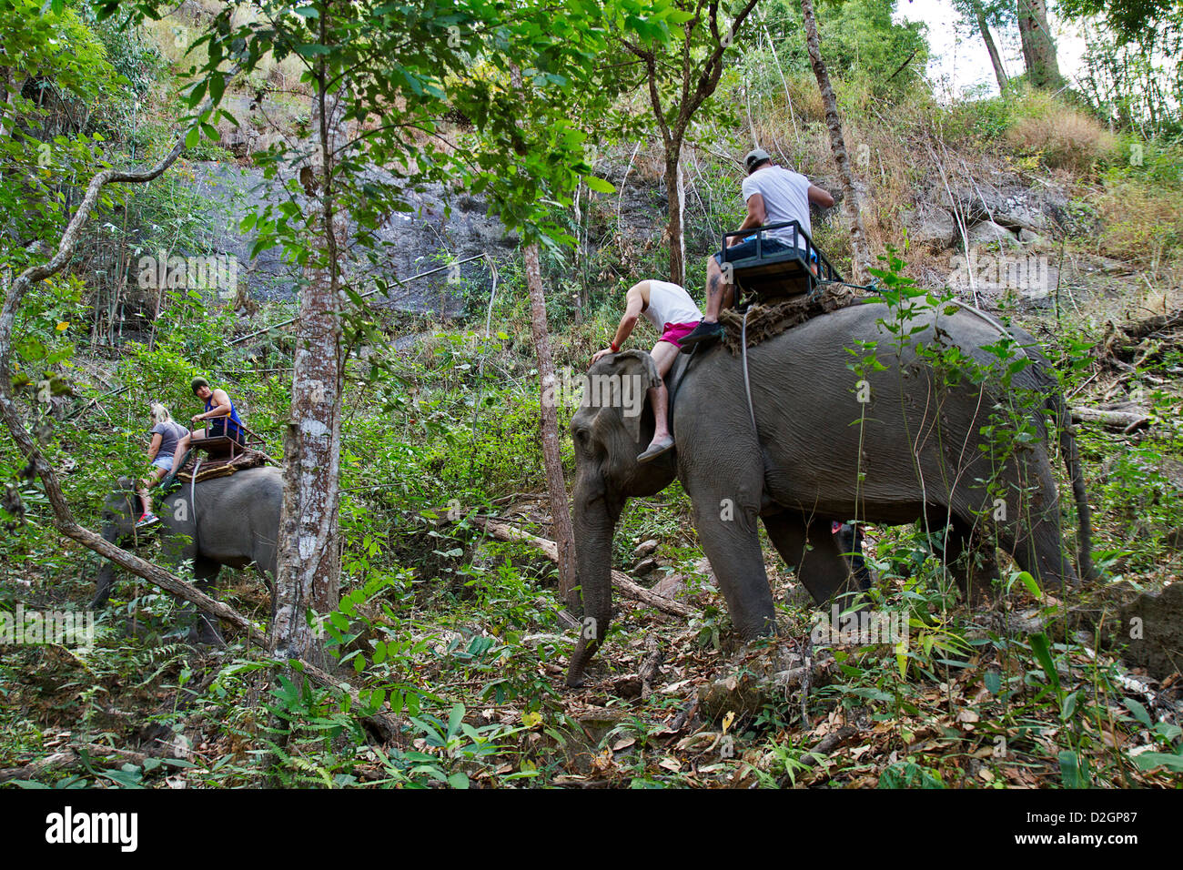 Elephant carrying tourists on a mountain Stock Photo