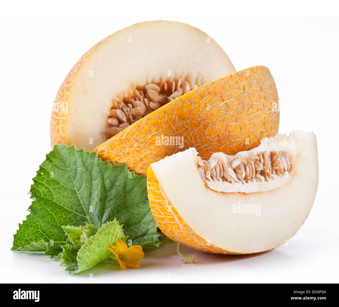 Melon with slices and leaves on a white background. Stock Photo