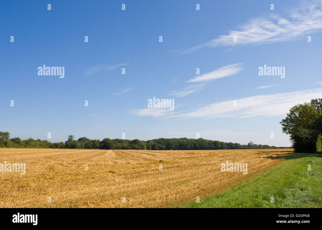 Suffolk Countryside in Summertime Stock Photo