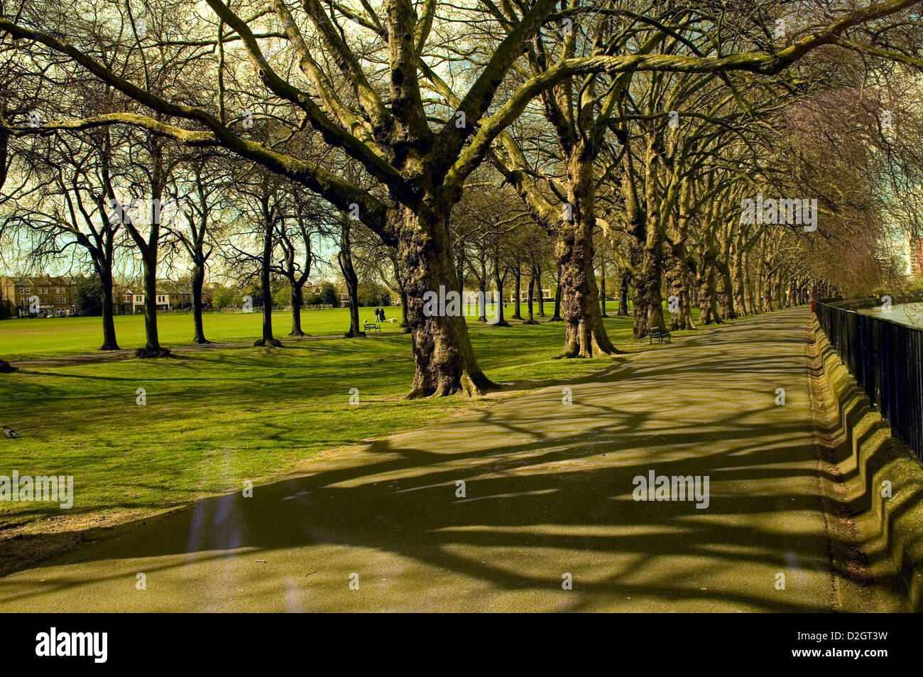 A tree lined footpath running through a central London park Stock Photo ...