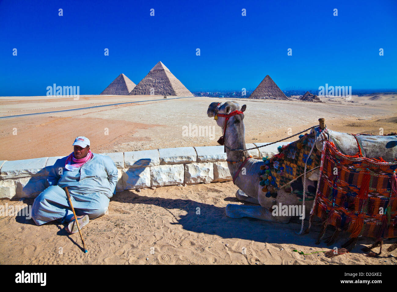 A camel driver with camel at the great Pyramid complex at the Giza necropolis near Cairo, Egypt. Stock Photo
