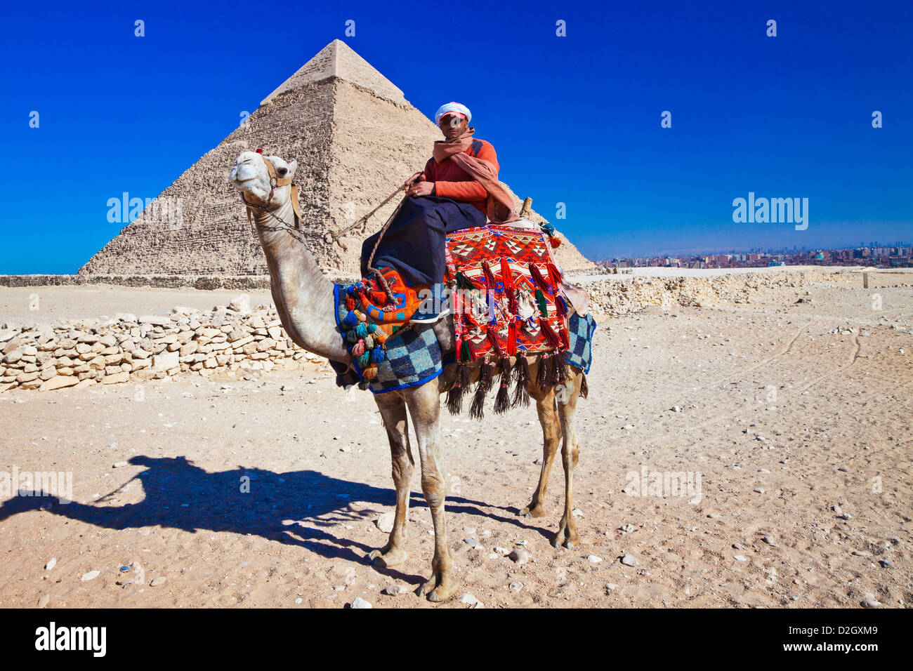 Camel driver poses in front of Pyramid of Khafre or Chefren, second-largest ancient Egyptian Pyramid of Giza near Cairo, Egypt. Stock Photo